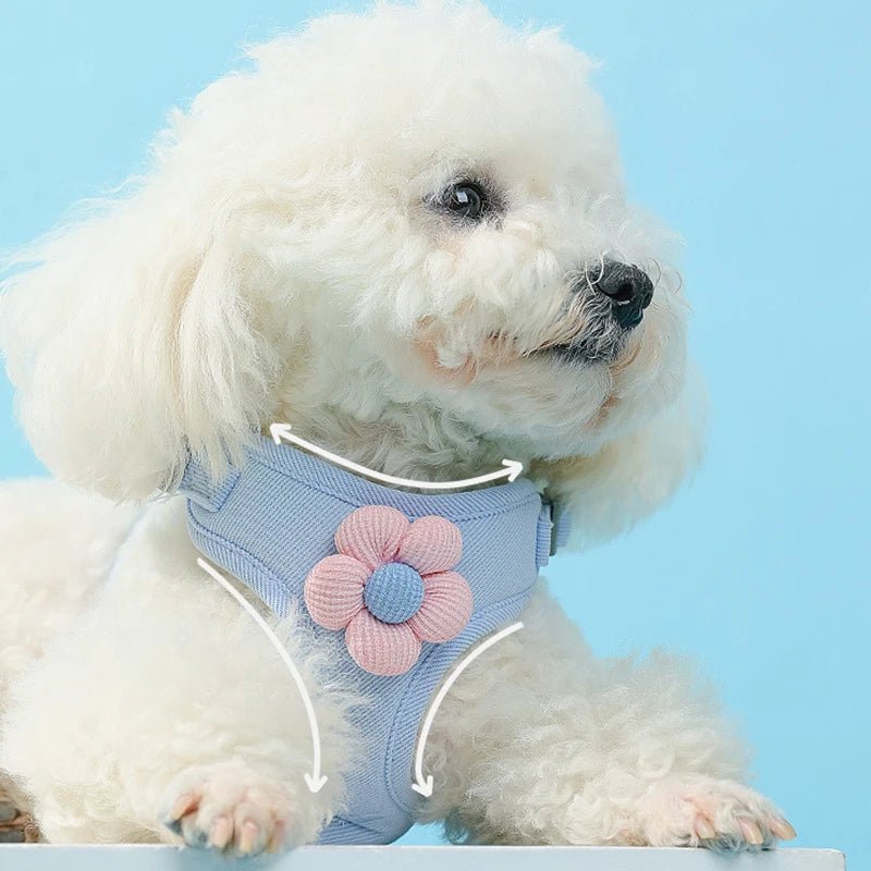 "Blossom Pet Harness - For Dogs & Cats" - PIGPETKIT