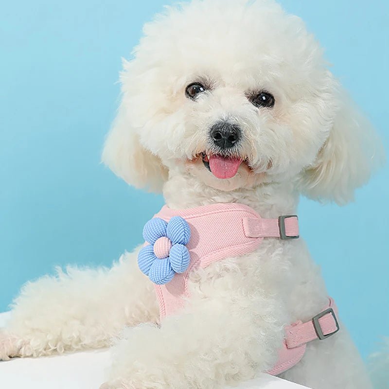 "Blossom Pet Harness - For Dogs & Cats" - PIGPETKIT